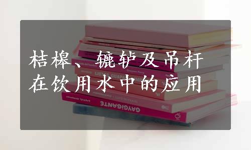 桔槔、辘轳及吊杆在饮用水中的应用