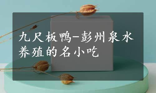 九尺板鸭-彭州泉水养殖的名小吃