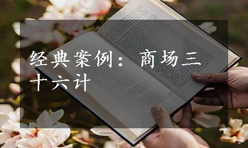 经典案例：商场三十六计