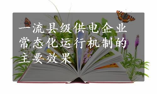 一流县级供电企业常态化运行机制的主要效果