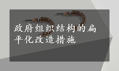 政府组织结构的扁平化改造措施