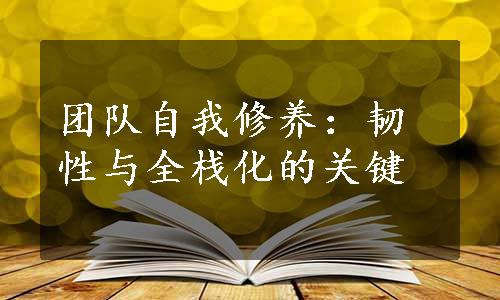 团队自我修养：韧性与全栈化的关键