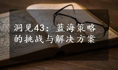 洞见43：蓝海策略的挑战与解决方案