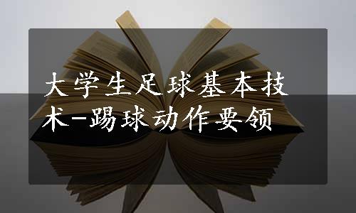 大学生足球基本技术-踢球动作要领