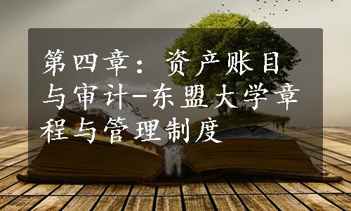 第四章：资产账目与审计-东盟大学章程与管理制度