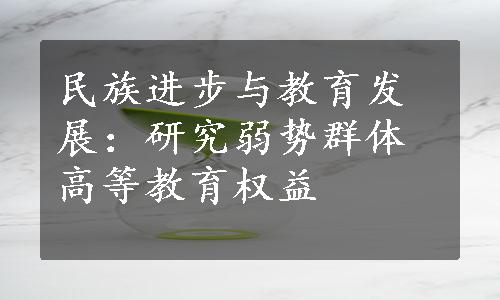 民族进步与教育发展：研究弱势群体高等教育权益