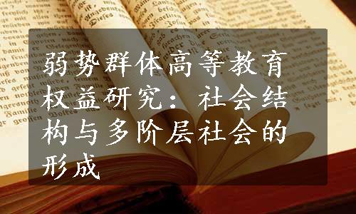 弱势群体高等教育权益研究：社会结构与多阶层社会的形成