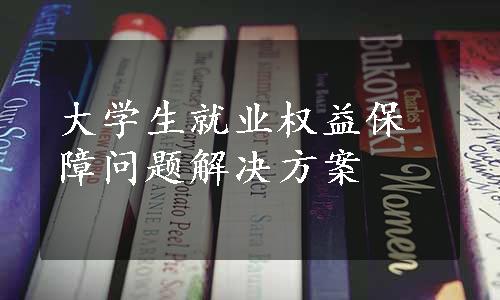 大学生就业权益保障问题解决方案