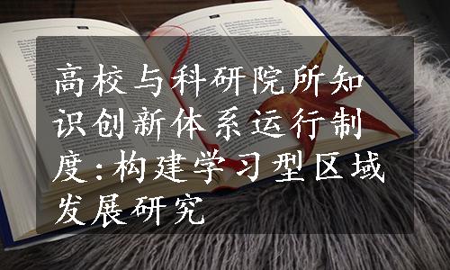 高校与科研院所知识创新体系运行制度:构建学习型区域发展研究