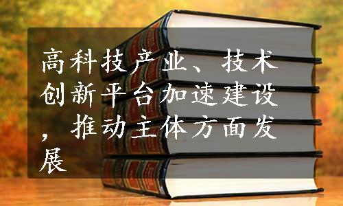 高科技产业、技术创新平台加速建设，推动主体方面发展