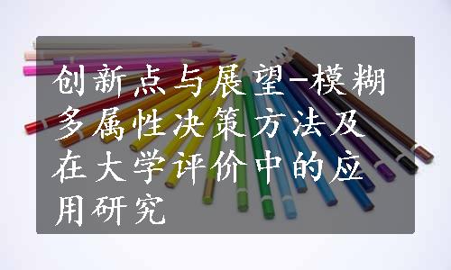 创新点与展望-模糊多属性决策方法及在大学评价中的应用研究