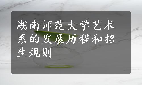 湖南师范大学艺术系的发展历程和招生规则