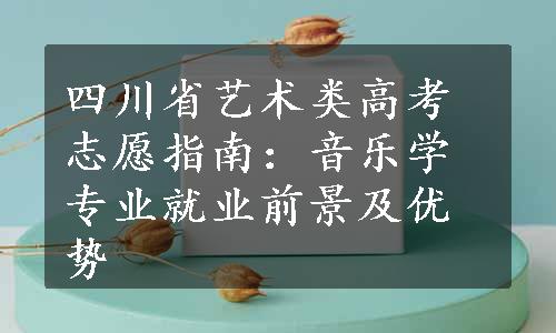 四川省艺术类高考志愿指南：音乐学专业就业前景及优势