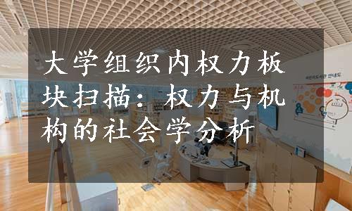 大学组织内权力板块扫描：权力与机构的社会学分析