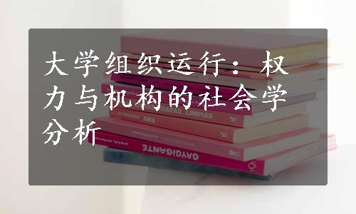 大学组织运行：权力与机构的社会学分析