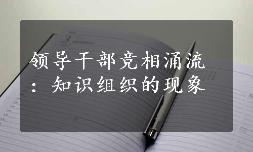 领导干部竞相涌流：知识组织的现象