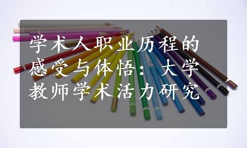 学术人职业历程的感受与体悟：大学教师学术活力研究