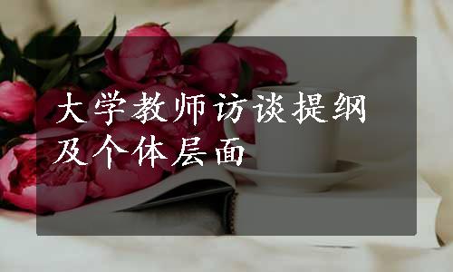 大学教师访谈提纲及个体层面