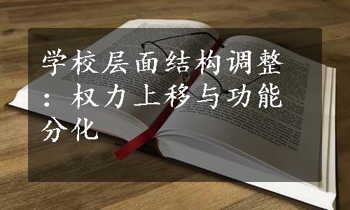 学校层面结构调整：权力上移与功能分化