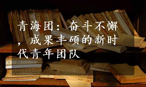 青海团：奋斗不懈，成果丰硕的新时代青年团队