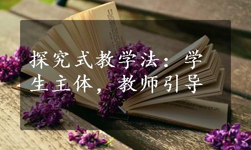 探究式教学法：学生主体，教师引导