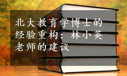 北大教育学博士的经验重构：林小英老师的建议