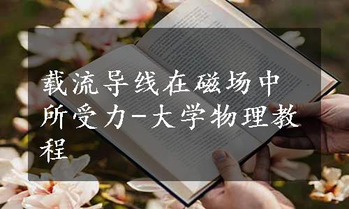 载流导线在磁场中所受力-大学物理教程