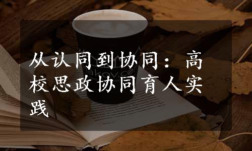 从认同到协同：高校思政协同育人实践