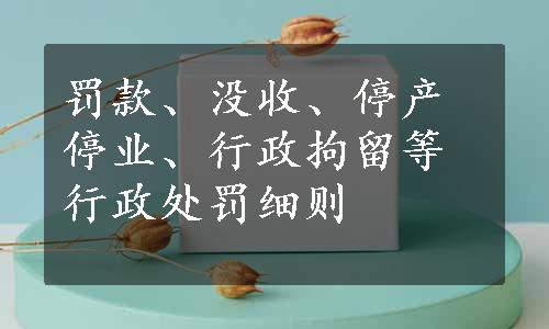 罚款、没收、停产停业、行政拘留等行政处罚细则