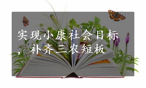 实现小康社会目标，补齐三农短板