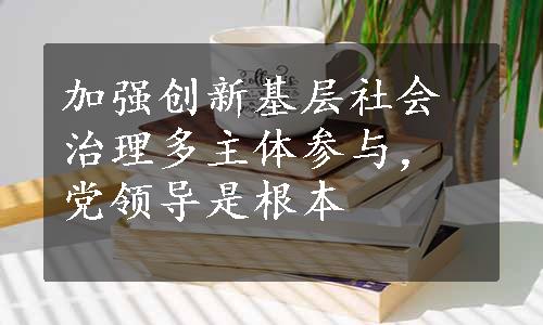 加强创新基层社会治理多主体参与，党领导是根本