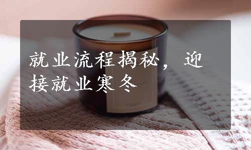 就业流程揭秘，迎接就业寒冬