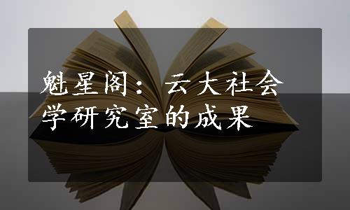 魁星阁：云大社会学研究室的成果