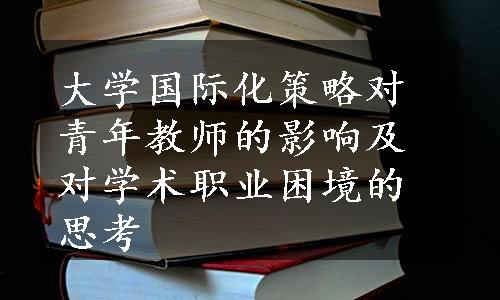 大学国际化策略对青年教师的影响及对学术职业困境的思考