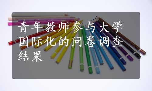 青年教师参与大学国际化的问卷调查结果