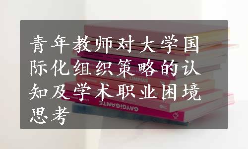 青年教师对大学国际化组织策略的认知及学术职业困境思考