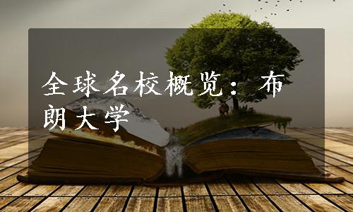 全球名校概览：布朗大学