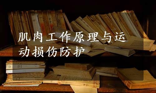 肌肉工作原理与运动损伤防护