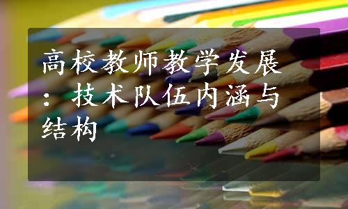 高校教师教学发展：技术队伍内涵与结构