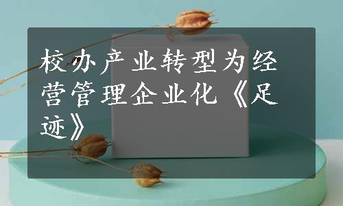 校办产业转型为经营管理企业化《足迹》