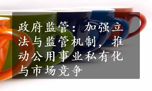 政府监管：加强立法与监管机制，推动公用事业私有化与市场竞争