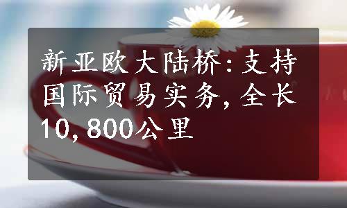 新亚欧大陆桥:支持国际贸易实务,全长10,800公里