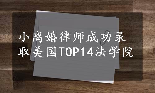 小离婚律师成功录取美国TOP14法学院