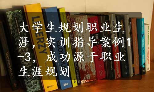 大学生规划职业生涯，实训指导案例1-3，成功源于职业生涯规划