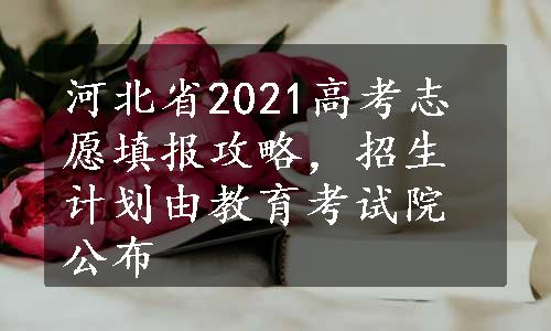 河北省2021高考志愿填报攻略，招生计划由教育考试院公布