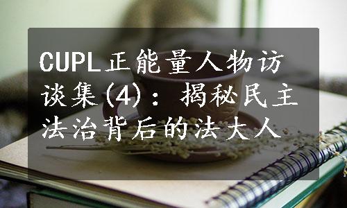 CUPL正能量人物访谈集(4)：揭秘民主法治背后的法大人