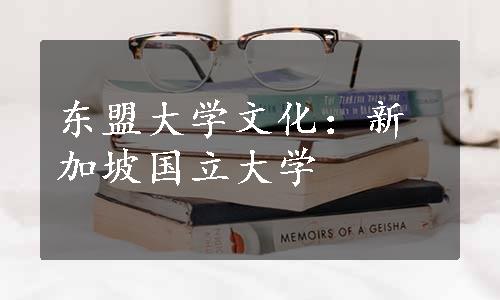 东盟大学文化：新加坡国立大学