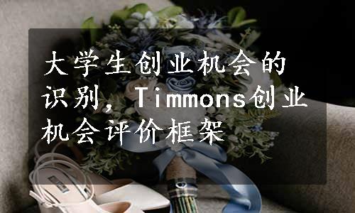 大学生创业机会的识别，Timmons创业机会评价框架