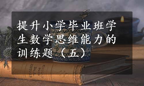 提升小学毕业班学生数学思维能力的训练题（五）