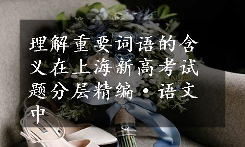 理解重要词语的含义在上海新高考试题分层精编·语文中